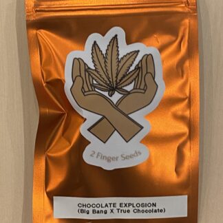 Chocolate Explosion seeds