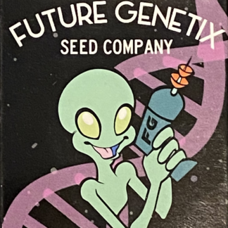 Alien Ice Rose seeds