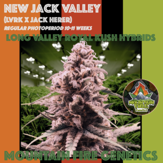 New Jack Valley seeds