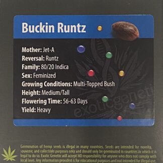 Buckin Runtz